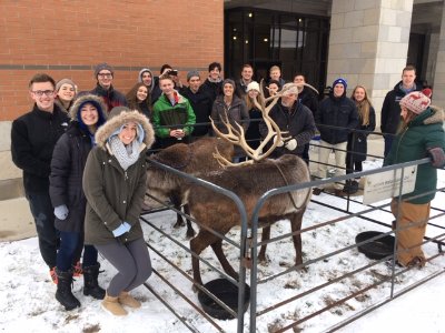 Student stand around an exhibit of live reindeer at a previous Exhibition of Arctic Life Event